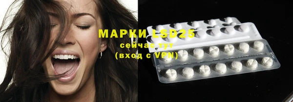 стафф Алексин