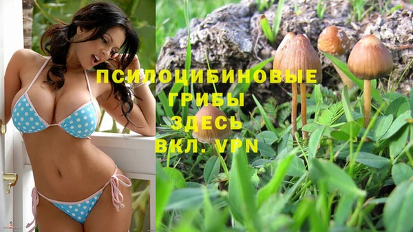 тгк Алексеевка