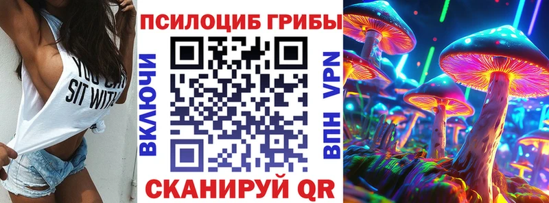 где можно купить наркотик  Гурьевск  Галлюциногенные грибы Psilocybe 